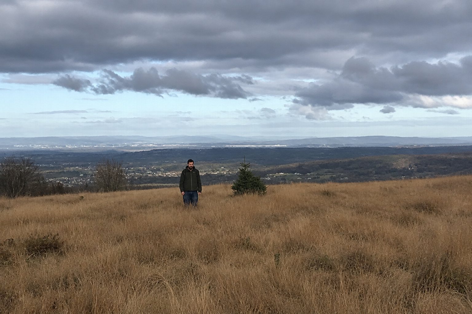 Oliver Barrett (Petrels), Somerset-based musician