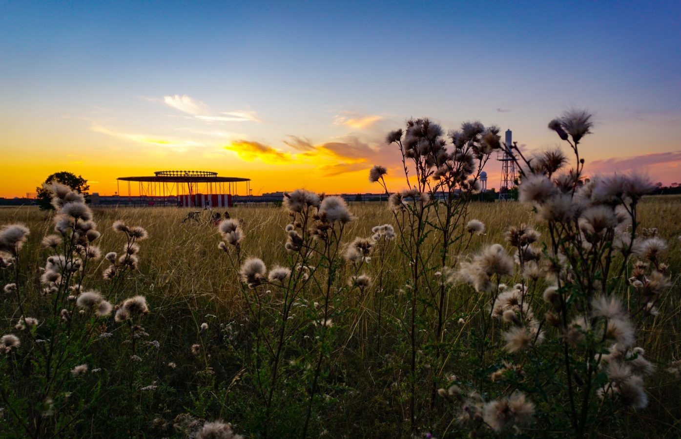 Tempelhof  Feld: Tempelhof Freedom